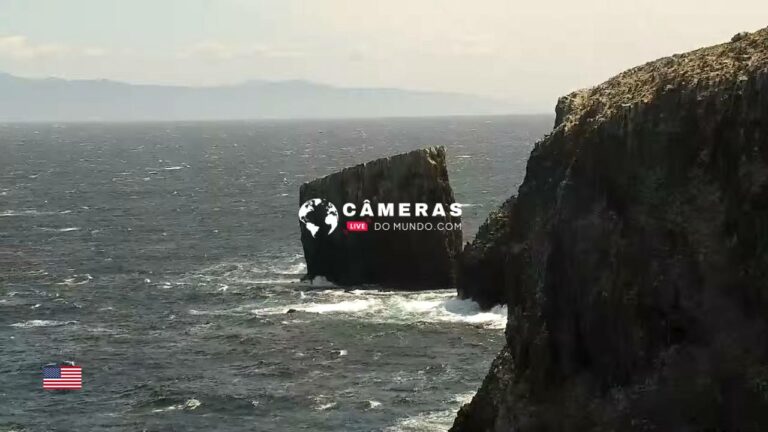 Live Webcam in Anacapa Island, California, USA
