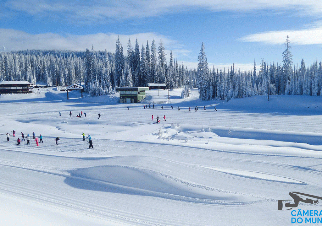Live Cam Sovereign Lake Nordic Club