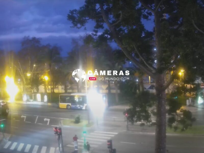 Câmera ao vivo da Avenida do Mar em Funchal, Ilha da Madeira, Portugal.