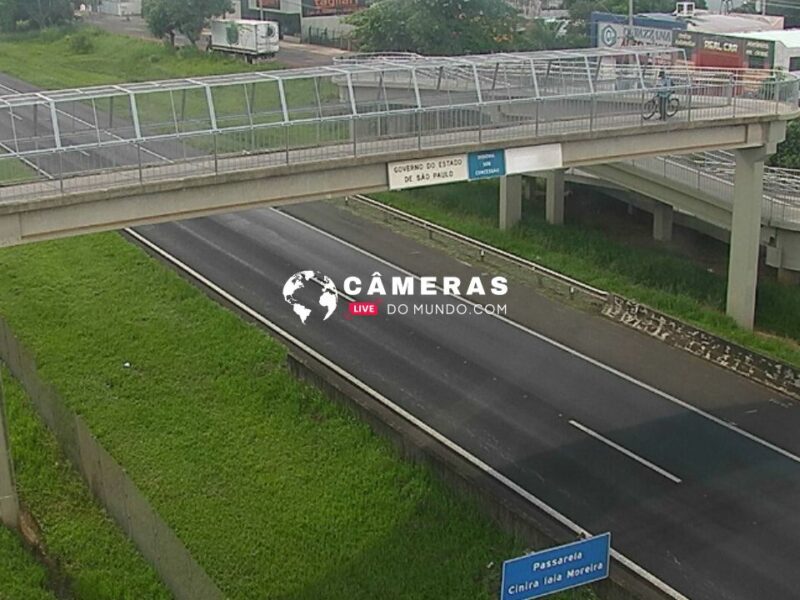 Câmera ao vivo da Rodovia Washington Luís.