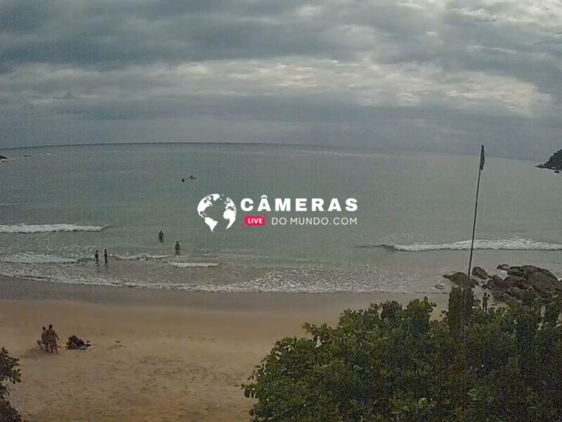 Praia dos ingleses ao vivo.