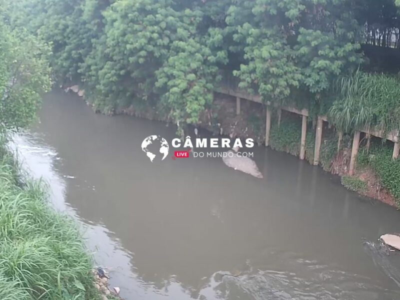 Câmera ao vivo do bairro Jardim São Caetano em São Caetano do Sul, SP.