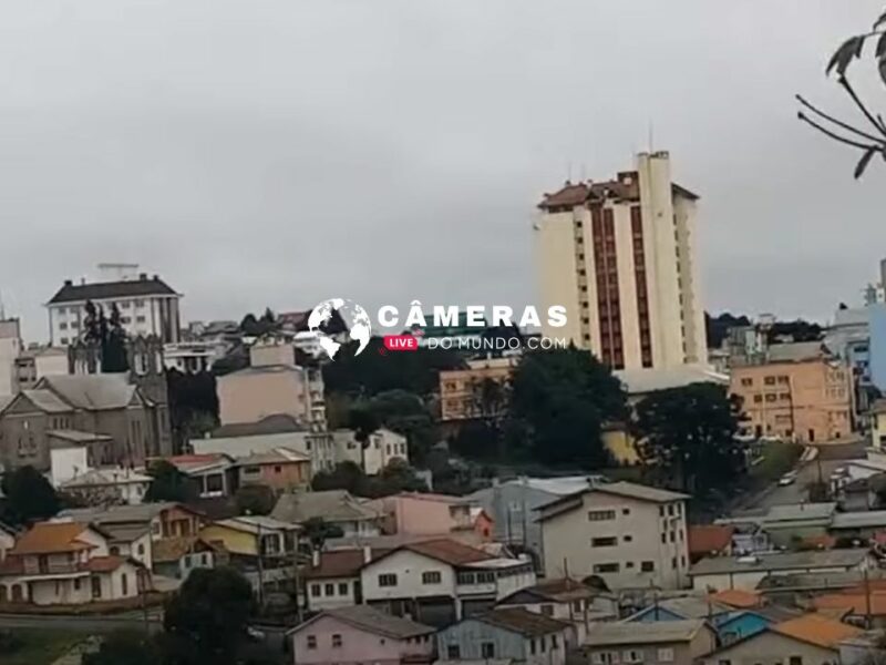 Câmera ao vivo São Joaquim, Santa Catarina.