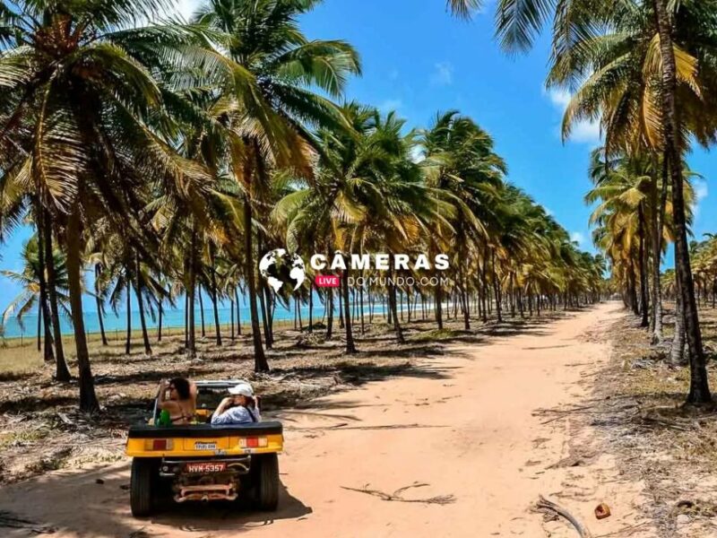 Câmeras ao vivo Porto de Galinhas.