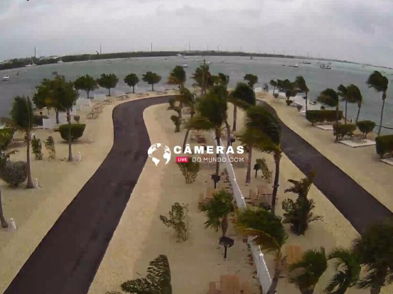 Live from Boyd's Campground Key West