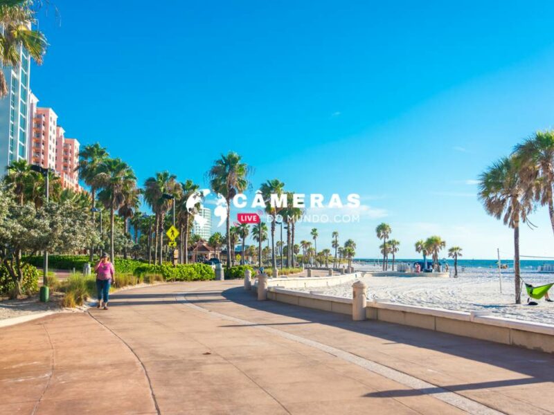 Câmeras ao vivo Clearwater Beach, Flórida.