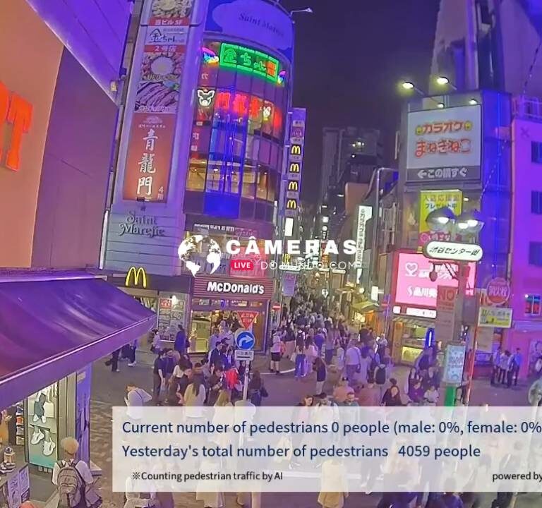 Câmeras ao vivo Shibuya Center St. Cam, Tóquio.