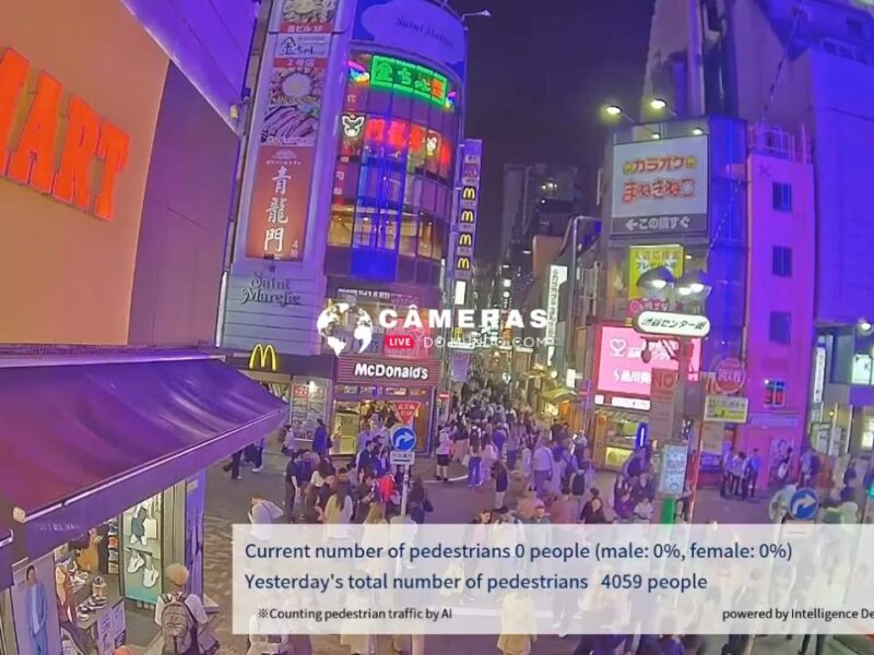 Câmeras ao vivo Shibuya Center St. Cam, Tóquio.