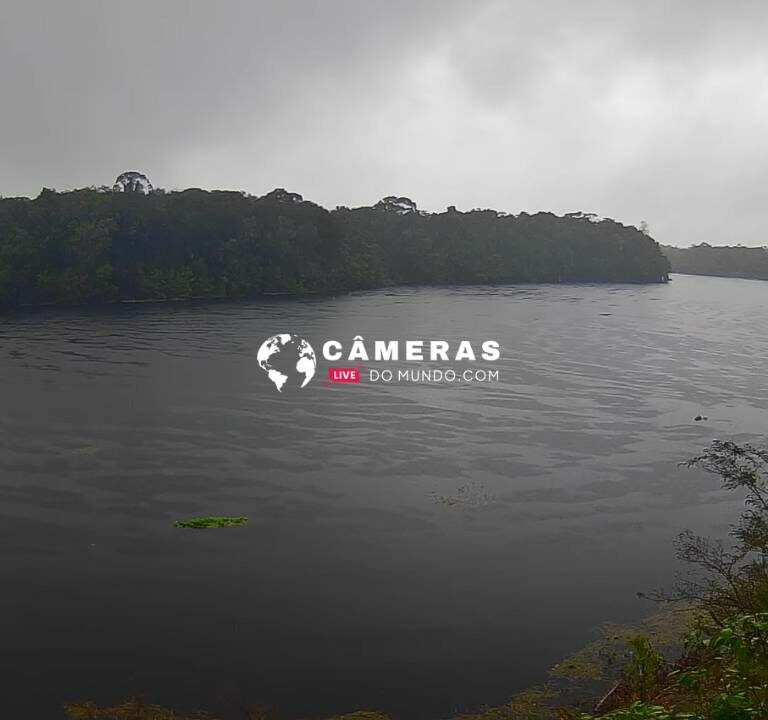 Câmera ao vivo Afluente do Rio Amazonas, Iranduba.