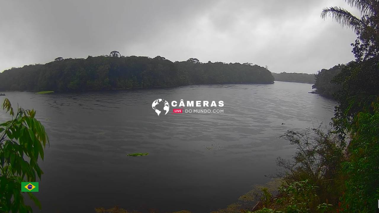 Câmera ao vivo Afluente do Rio Amazonas, Iranduba.