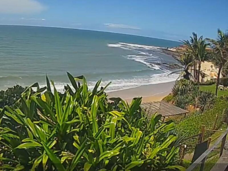 Câmera ao vivo da Praia da Pipa em Tibau do Sul no Rio Grande do Norte